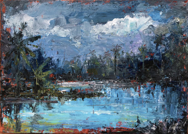 Cloudy oasis